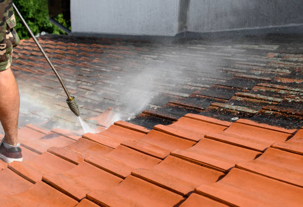 Best Garage Pressure Washing  in Mulberry, FL