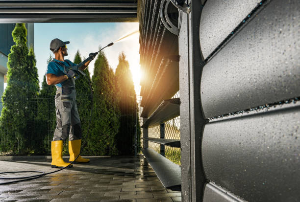 Best Roof Pressure Washing  in Mulberry, FL